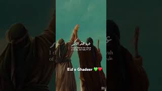 Eid e Ghadeer Mubarak 💚 #shorts #viral #foryou #ghadeerstatus #eideghadeer #subscribe