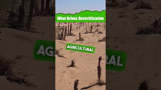 What Drives Desertification