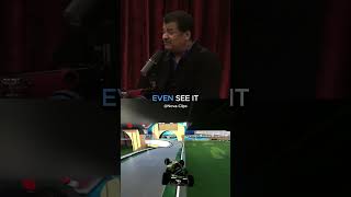 Neil deGrasse Tyson Explains Why Bug Zappers Work