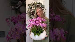 Orchid arrangement "Oasis" | Orchids for Valentine's Day | Viva Orchids