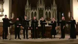 Beati immaculati -- Tallis