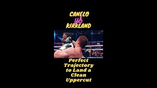 Perfect Trajectory to Land a Clean Uppercut: Canelo vs Kirkland #shorts