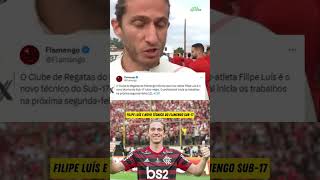 Flamengo anuncia Filipe Luís como novo técnico do time sub-17 #flamengo #filipeluis