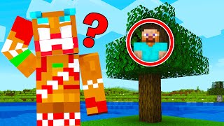 I Hosted a $10,000 Minecraft Hide & Seek