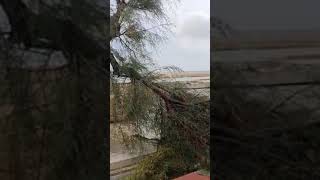 Lungomare di Giovinazzo devastato dalla tempesta 🙄