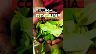 Illegal Cocaine in Colombia