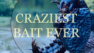 Fishing With Only Invertebrates! - “ROTR” Craziest Thing Ever Caught On A Line Insane Hellgrammites