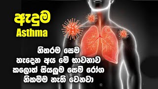 ඇදුම, ‍කැස්ස, හතිය, සයිනස් හිසරදය පෙනහළු සෙම උගුරේ සෙම ආසාදන ඇතුලු සියලු සෙම්රෝග සුව කිරීම භාවනාව