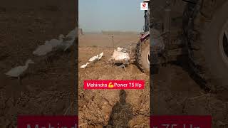 महेंद्रा का सबसे Powerful ट्रैक्टर देखिये लाइव डेमो || Mahindra Novo 755 DI 75 HP Tractor #shorts