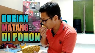 PICK UP TRAVELER EDISI KAMPUNG DURIAN DIRUN BANJARNEGARA