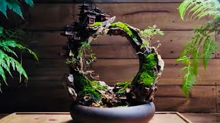 how to make a mini moon garden