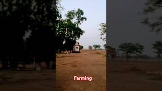 power of farmers #shorts #farming #rice #farminglife #viral #subscribe #tranding