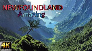 Amazing Newfoundland || Gros Morne National Park || Canada || 4K HD Video