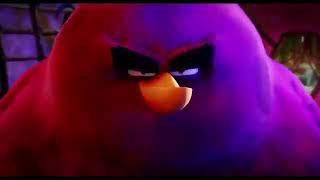 Angry Birds Terrance Meme