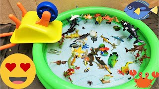 SEA ANIMALS FOR TODDLERS: HORSESHOE CRAB, BLUE RING OCTOPUS, FLYING FISH, RED GURNARD, AND OTHERS