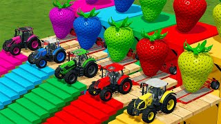 CLAAS vs STEYR vs DEUTZ vs FENDT  TRACTORS BATTLE WITH STRAWBERRY - Farming Simulator 22