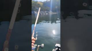 Lake Don pedro fishing for bass between storms #bassfishing #viral #california #spottedbass