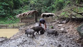 A busy but happy day taking care of the wild boars, Wilderness Alone, Episode 92