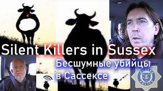 "Бесшумные убийцы в Сассексе" (2010) - расследование случаев аномальных увечий лошадей в Англии