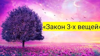 «Закон 3-х вещей» притянет счастье в твою жизнь. Суть вечных ценностей 💰☝🏽