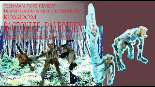 TRANSFORMERS WAR FOR CYBERTRON: KINGDOM RACTONITE,PALEOTREX combine mode(weird)