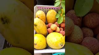 Fruit for the week #shortvideo #bangalore #trending #youtubeshort #youtubevideo