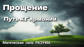 Прощение - Путь к гармонии