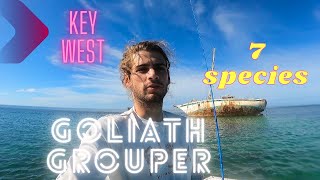 Skiff fishing Key West, Florida with squid (Spooked a Goliath Grouper, Seven Species)