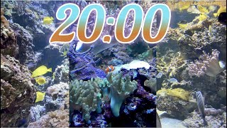 20 Minute Aquarium Timer/Countdown With Relaxing Music 🐟🐠|Cuenta Regresiva de 20 Minutos con Música.