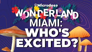 @ Wonderland: Miami, The Largest Psychedelics Industry Conference — Who's excited for What?