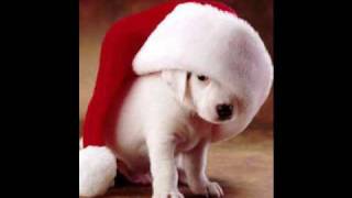 Lonely Pup In A Christmas Shop - Adam Faith