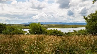 Lough Rushen, Mí Iúil 2023