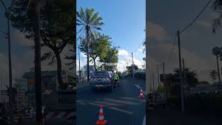 Pruning Tree Tahiti #tahiti #pruning #tree #viralvideo