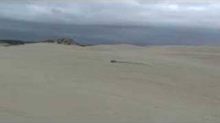 FG Marder Beetle at the dunes