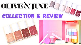 #OLVIEANDJUNE - Collection & REVIEW