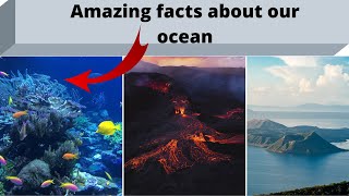 Top 10 Interesting Facts About The Ocean