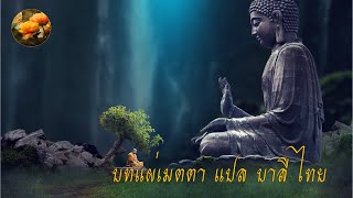 บทแผ่เมตตา (แปล บาลี-ไทย) ตั้งจิต สมาธิ สวดมนต์ แผ่เมตตา