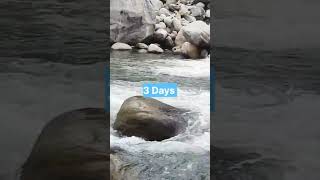 Manali Trip #travel #viral #shorts #youtubeshorts #viralvideo