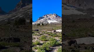 #timberline #trail #mthood #pct #mount #hood #backpacking #hiking