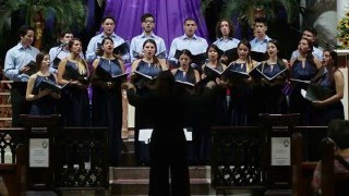 "Call to Remembrance" (Richard Farrant) - Coro de Cámara Universidad de Medellín