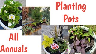 Planting Pots// All Annuals// In my Backyard Garden Space// Fun! Fun! Fun!🌱🌿🌞