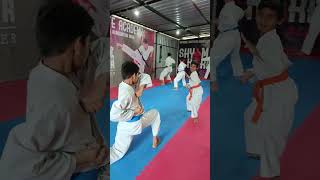 Kata practice #wkf #kata #wkfkumite #kumite #heiannidan #sansai#selfdefense