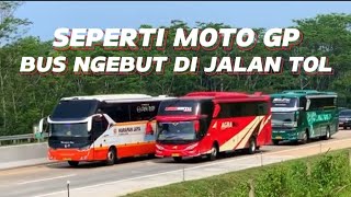 BUS NGEBUT DI JALAN TOL TRANSJAWA PALING SERU