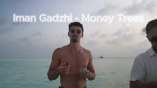 Iman Gadzhi - The Edit | Money Trees [4K edit]