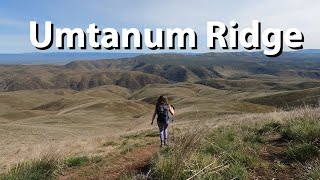 Hiking Umtanum Ridge - Spring Wildflowers and Wildlife!