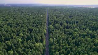 Highway between trees. Aerial view of the road between forests. Coniferous forest.