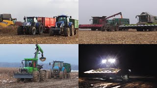 Hard Winter corn harvest/zimný zber kukurice/Claas, Fendt, New holland, Case IH