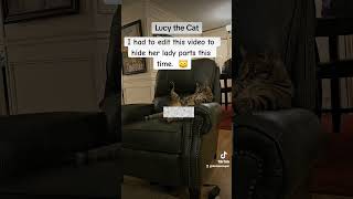 Edited video of Lucy my cat 😻