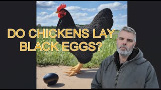 How to tell what color eggs my chickens will lay?