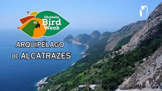 Arquipélago de Alcatrazes - Ilhabela Birdweek